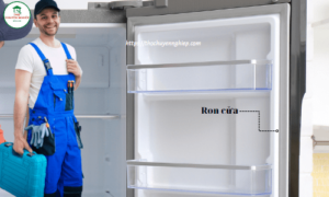 Dịch vụ thay ron tủ lạnh giá rẻ tại Vũng Tàu 0773 001 009